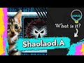 Behavior:Win64/Shaolaod.A Malware Explained &amp; Removal Guide