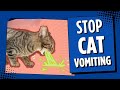 What Can You Give A Cat to Stop Vomiting?
