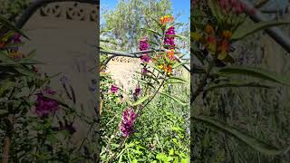 Waystation Open House