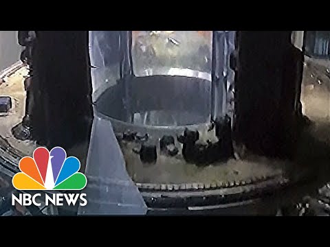 Huge Aquarium Housing 1,500 Fish Bursts In Berlin