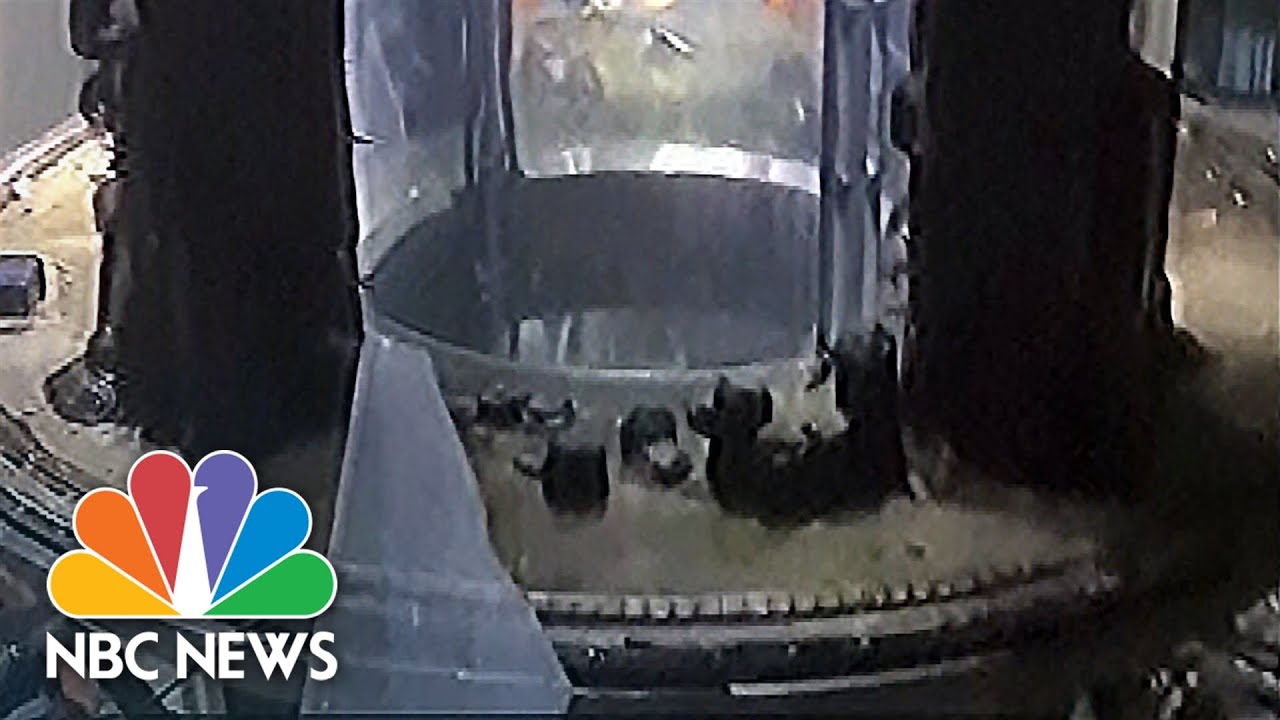 Huge Aquarium Housing 1,500 Fish Bursts In Berlin