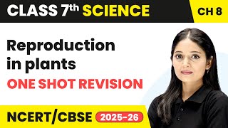 Reproduction In Plants  One Shot Revision  Class 7 Science Chapter 8  Cbse 202526