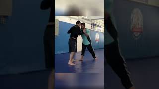 🧙BJJ vs Tai Chi🐉 BJJ Legend vs Tai Chi Master