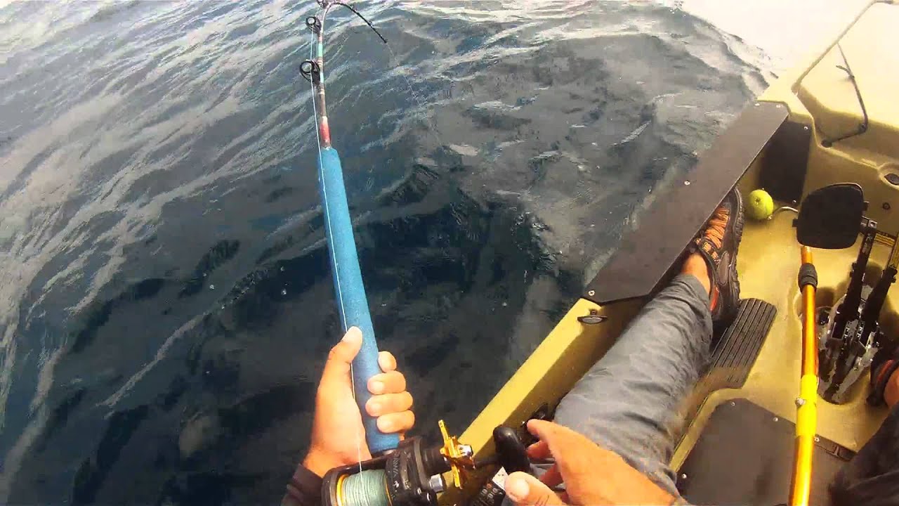 7/3/15 La Jolla Kayak Fishing Yellow Tail YouTube