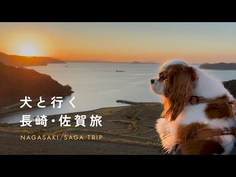 犬とずっと一緒の宿、ブレインズ長崎｜有田の器に触れる旅【長崎・佐賀 Trip Vlog】