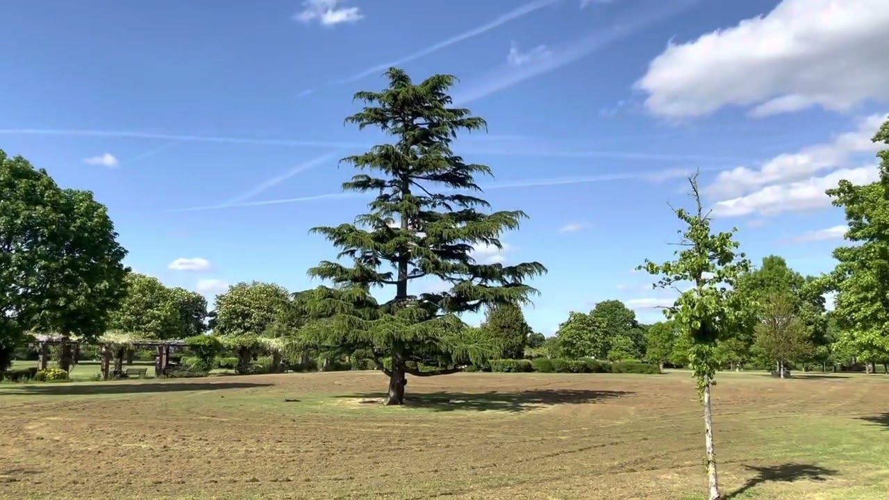 Clayhall park Ilford