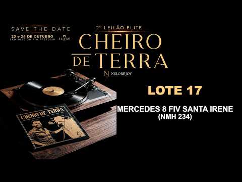 LOTE 17   NMH 234