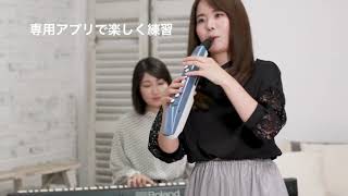 管楽器・吹奏楽器 Wi &F i S1 ヤマハ | 管楽器・吹奏楽器 - 楽器