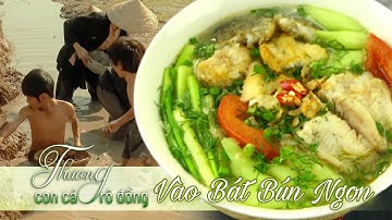 Thương Con Cá Rô Đồng 31 - Vào Bát Bún Cá Ngon | Hướng dẫn nấu ăn - Món ăn ngon mỗi ngày | Hương Quê
