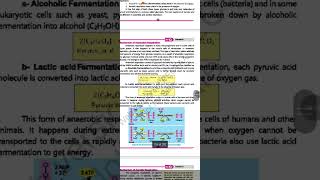 Bio Lecture 53