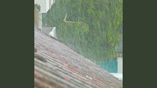 Heavy Rain on Roof pt. 6