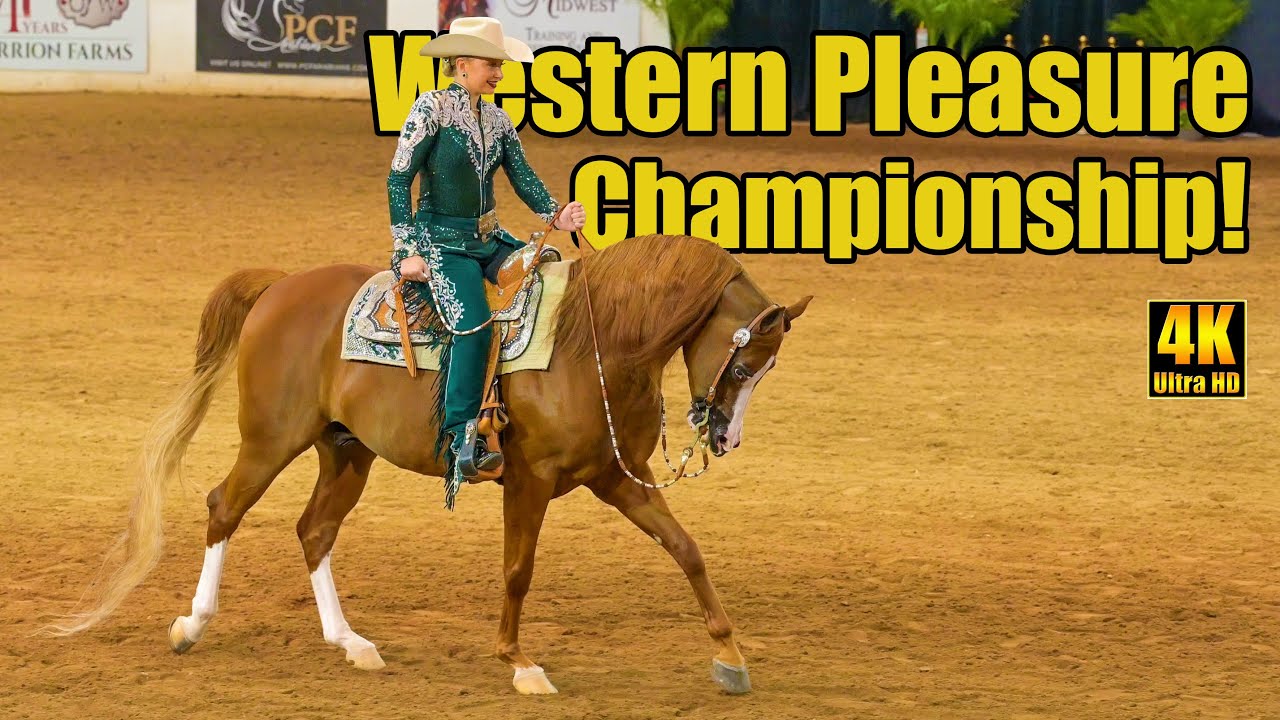 Чемпионат по западному удовольствию среди арабских лошадей/HA/AA на Национальном финале арабских ...