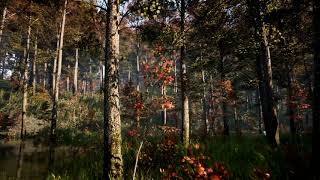 Trees: Alder Tree Flyby