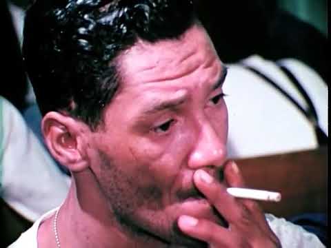 Thumbnail for Forbidden Medicine: 500 Years Of Drug Trading Revealed
