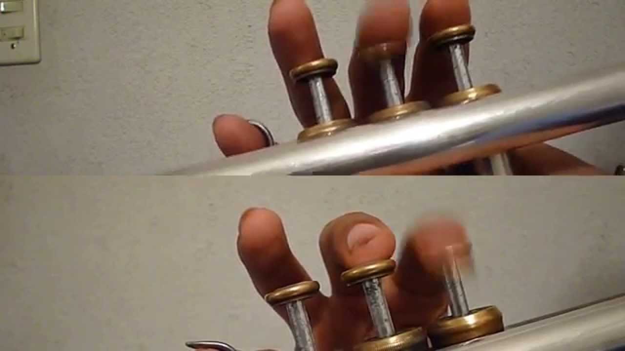 La muerte de un gallero - Vicente Fernández