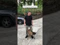 FADE OUT your hand signals 🐺🐾