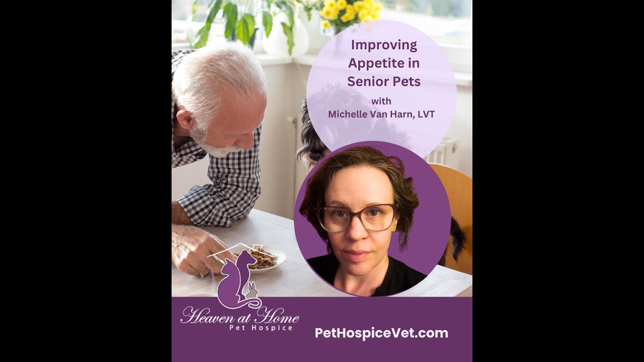 Improving Appetite in Senior Pets with Michelle Van Harn, LVT