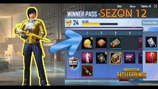 Winner P 12.Sezon Sizintilari - Yeni̇ Geli̇cek Desenler - Pubg Mobi̇le Lite