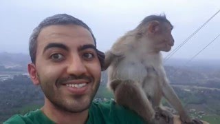 How to make a friendship with monkey? Hanuman Temple, Hampi, India Profile