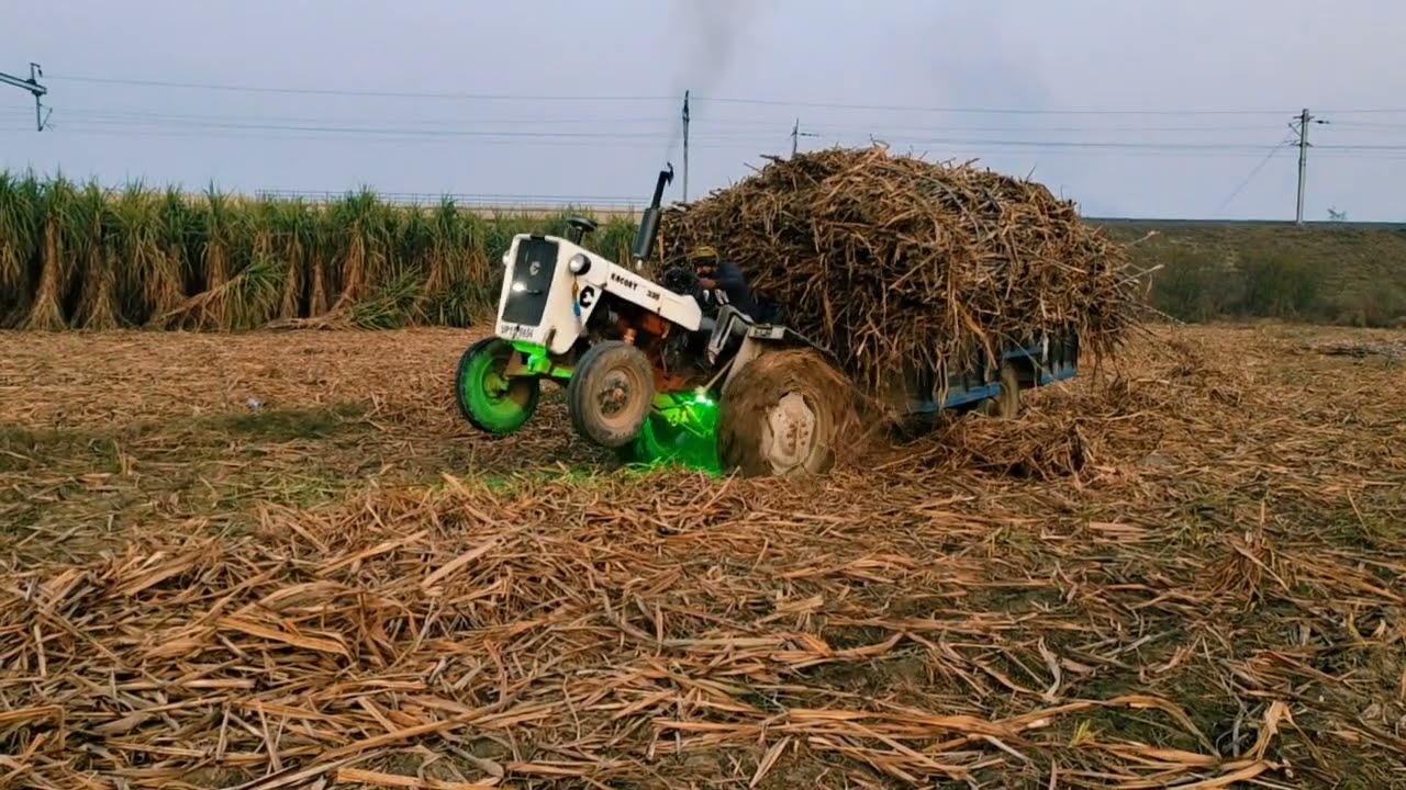 Escort 335 Stuck in Wet Black Soil 🌧🚜 | Heavy Sugarcane Load After Rain