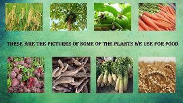 CLASS – 3C / EVS / PART  II / BLOOMING AND SPROUTING / GEETHA SRINIVAS