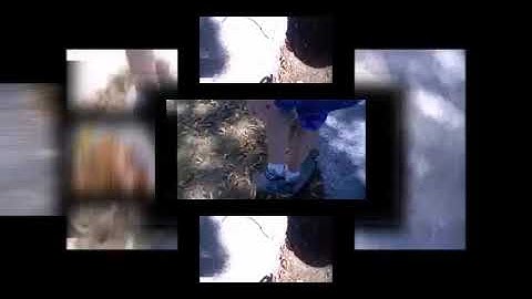 New Video DJ Scan V8 (Veg Replace)