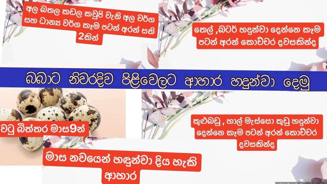 බබාට කෑම හදුන්වා දෙන පිළිවෙල  When, What, and How to Introduce Solid Foods for your baby