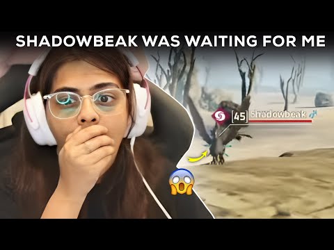 Shadowbeak Was Waiting For Me 😲🥺