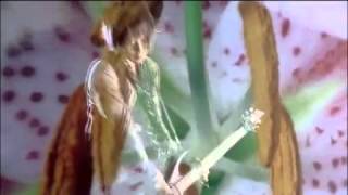 kannivalism - rememorari [PV]