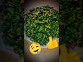 non veg .! কলই শাক ভাজি 😋 #food #cooking #mixvegetablesabzi #new #nonvegspecial #nonveglove