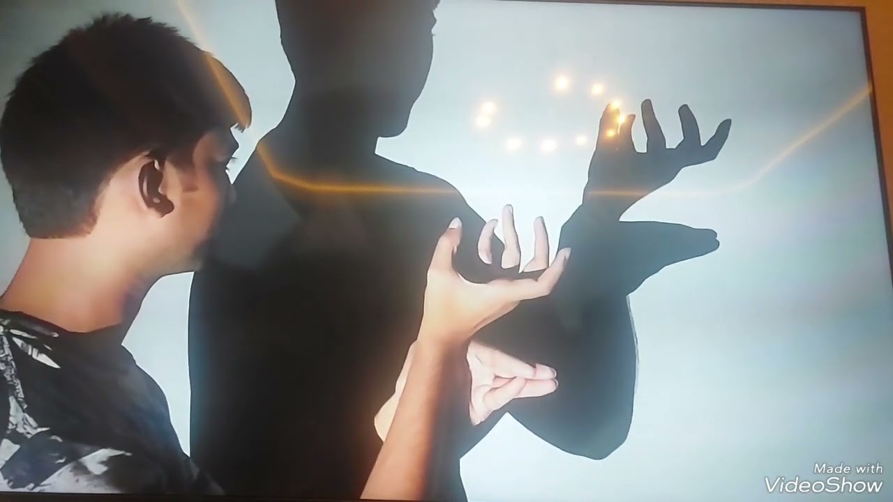 interesting animal shadows