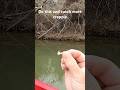 Do THIS To Your Jigheads To Catch More Crappie Follow Crappie Shorts