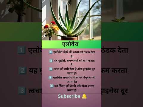 Alovera Beauty Tips Beauty Trending Shorts Short Facts Motivation Instagram Quotes Viral 