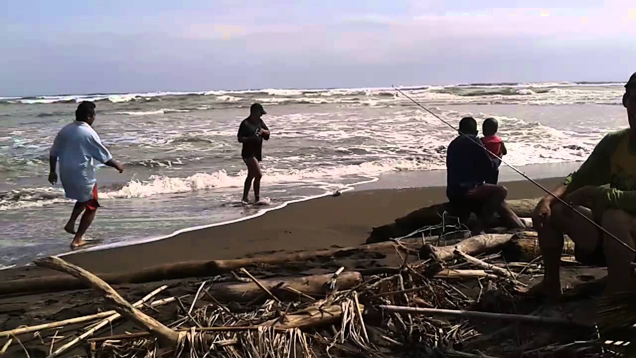 Costa Rica Robalo Pesca de robalo pacuare costa rica - YouTube