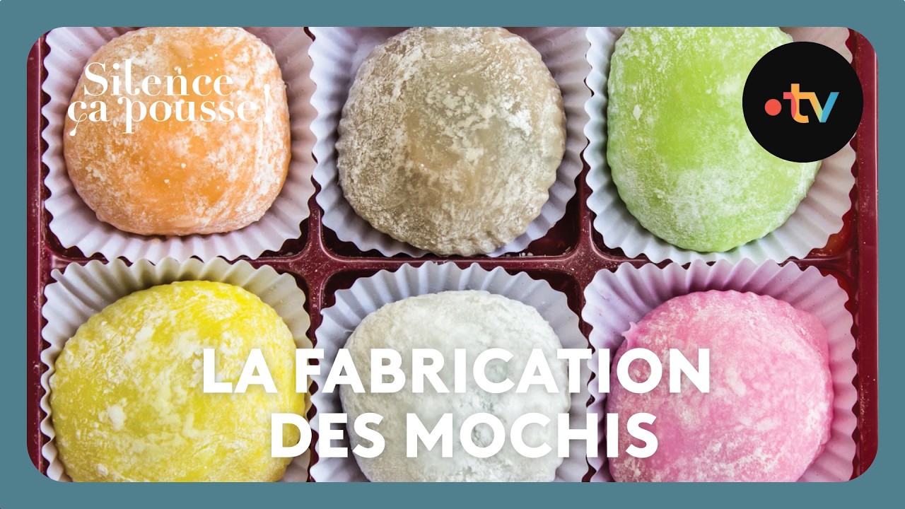 La fabrication des mochis - Silence, ça pousse ! 7 Février 2026
