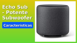 RESEÑA (2025) : Echo Sub - Potente Subwoofer. DETALLES ESENZIALES