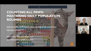 Counting All Paws: Mastering Daily Population Rounds