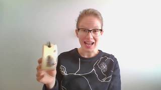 Year 1 – Curriculum Music Lesson (Term 3 Week 3)