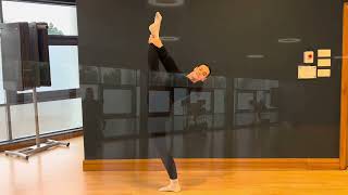 Charlotte Fish 2025 Aerial and Dance Showreel