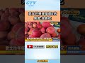 #shorts 愛文芒果產量翻3倍 果農：放膽吃 @gtvnews27