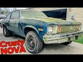 An ABANDONED Nova Drag Car Project is Rescued and Washed for the First Time in Years