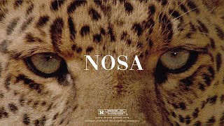 "Nosa" - Rema x Wizkid Type Beat