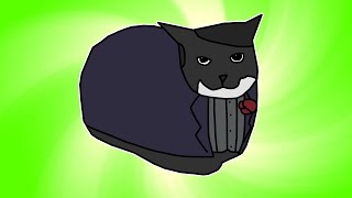 Maxwell Cat Spining Dst Green Screen