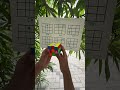 Rubiks cube Trick #shortsfeed #shortvideo #shorts #rubikscube #speed #speedcubing #puzzle #challenge