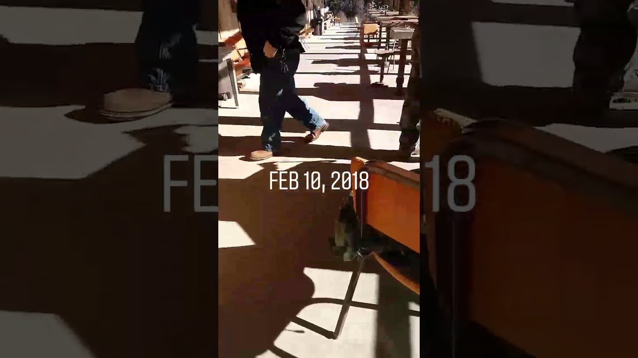 U.S.  MILITIA TRAINING - LIVE NEWS COVERAGE