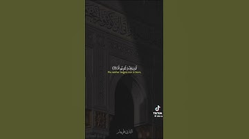 سوره الإخلاص - علي جابر