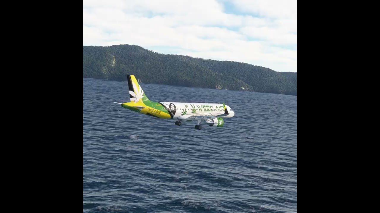 uncontrolled landing of planes at airports is dangerous ep372