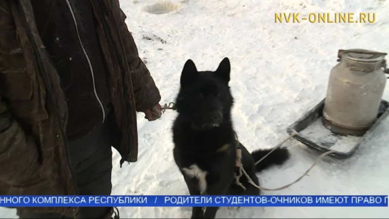 Булчут Онлайн Магазин