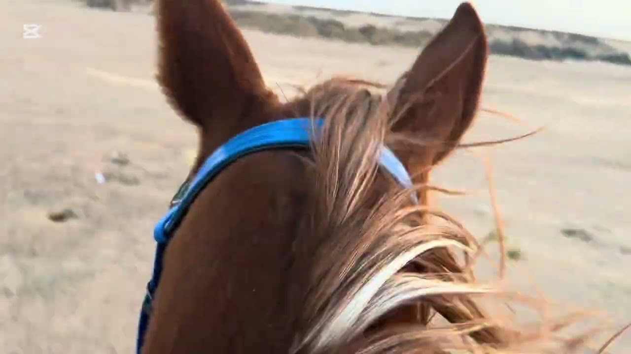 كوب عادي اضحك 💁😂😂🙈