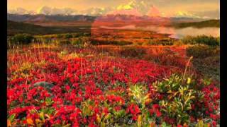 Cellophane City Steve Forbert.flv